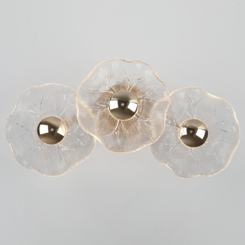 Накладной светильник Rivoli Shannon Б0061948 в Нижнем Новгороде фото 9