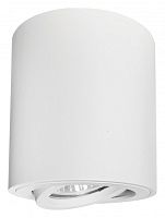 Накладной светильник Lightstar Binoco 52006 в Сочи