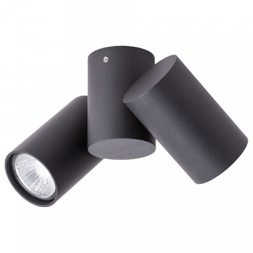 Спот Arte Lamp Gavroche A1511PL-2BK в Нижнем Новгороде фото 3