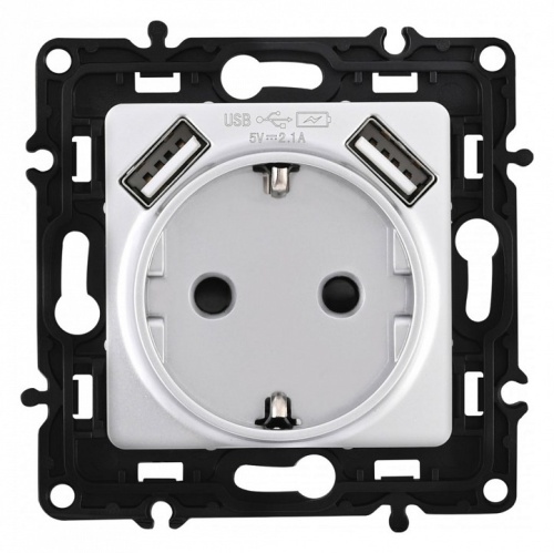 Розетка с заземлением и со шторкой и 2хUSB, без рамки Arte Milano am-217 217.47-1.silver в Нижнем Новгороде