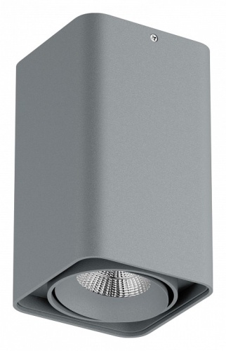 Накладной светильник Lightstar Monocco 052339-IP65 в Слободском