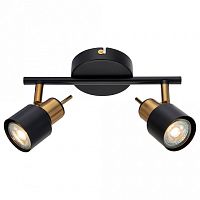 Спот Arte Lamp Almach A1906PL-2BK в Можге