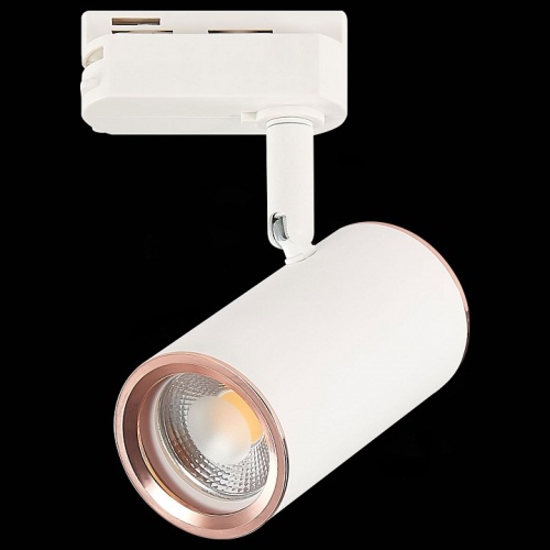 Светильник на штанге ST-Luce Cromi ST301.526.01 в Нижнем Новгороде фото 9