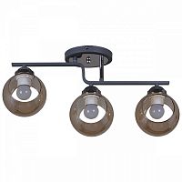 Светильник на штанге 32317-0.3-03 в Нижнем Новгороде