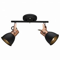 Спот Arte Lamp Jovi A1677PL-2BK в Нижнем Новгороде