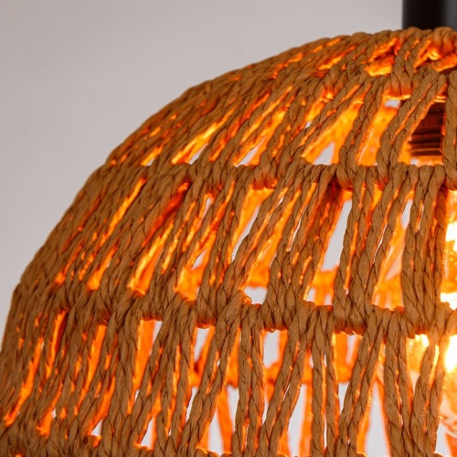 Подвесной светильник Arte Lamp BRUSHWOOD A7086SP-1BK в Нижнем Новгороде фото 3