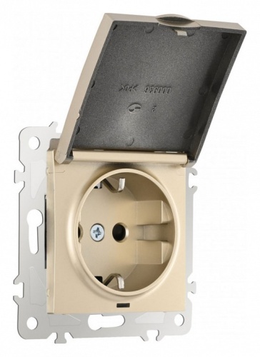 Розетка влагозащищенная с заземлением и со шторкой с крышкой Arte Milano am-206 206.41-1.shampan в Нижнем Новгороде