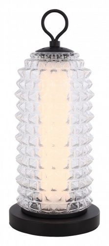 Настольная лампа декоративная ST-Luce SAGUARO SL6144.404.01 в Нижнем Новгороде фото 4