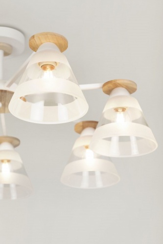 Потолочная люстра Rivoli Theothila Б0068395 в Нижнем Новгороде фото 8