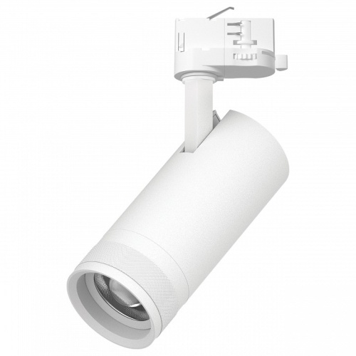 Светильник на штанге Lightstar Canno Pro C4206QT в Нижнем Новгороде