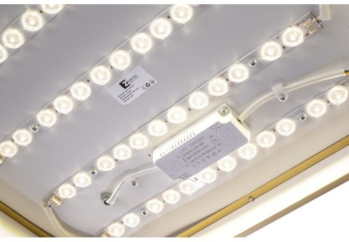 Накладной светильник Zortes Monna ZRS.1209.03 в Нижнем Новгороде фото 7