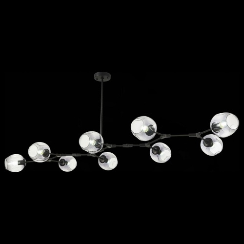 Подвесная люстра EVOLUCE Rametto SLE154843-09 в Нижнем Новгороде фото 2