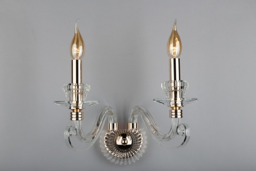 Бра Aployt Daniele APL.701.01.02 в Нижнем Новгороде фото 6