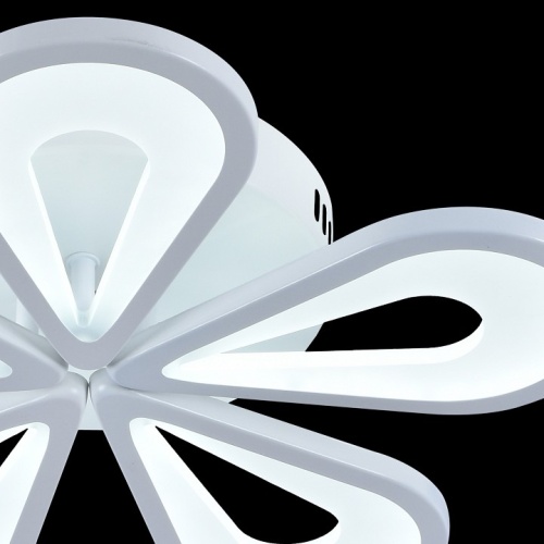 Потолочная люстра Escada Kamille 10206/5LED White в Нижнем Новгороде фото 5