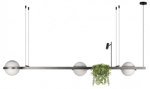 Подвесной светильник Loft it Jardin 10121/C Dark grey в Нижнем Новгороде фото 5