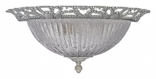 Накладной светильник Arti Lampadari Vigilanza Vigilanza E 1.13.46 BW в Нижнем Новгороде фото 3