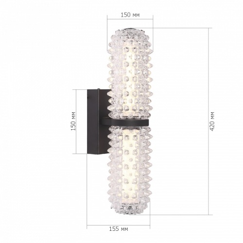 Бра ST-Luce SAGUARO SL6144.401.01 в Нижнем Новгороде фото 3