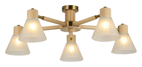 Потолочная люстра Arte Lamp Meleph A4096PL-5BR в Дзержинске