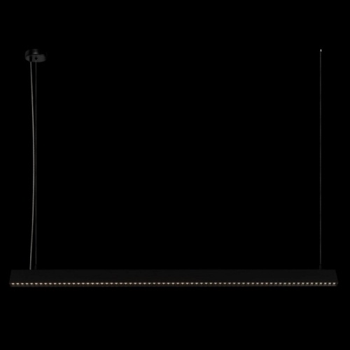 Подвесной светильник Loft it Vim 10318/B Black в Можайске фото 3