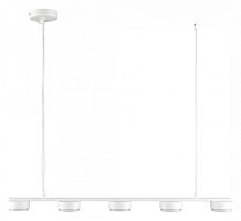 Подвесной светильник Lumion TORINA 8265/5 в Нижнем Новгороде