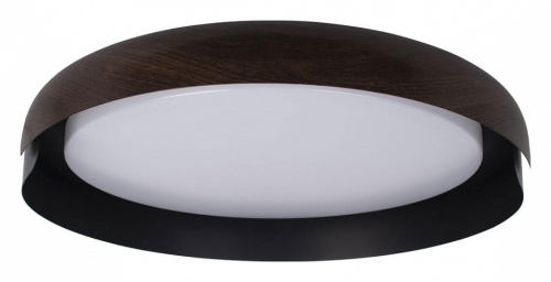 Накладной светильник Loft it Coin 10198 Black в Нижнем Новгороде фото 2