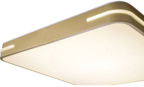 Накладной светильник Zortes Gabby ZRS.1215.04 в Нижнем Новгороде фото 6