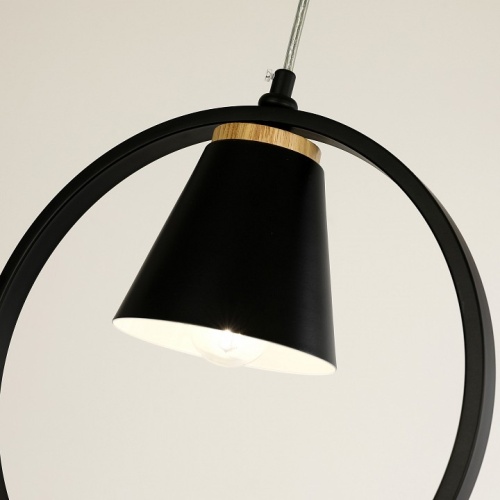 Подвесной светильник F-promo Uccello 2938-1P в Нижнем Новгороде фото 3