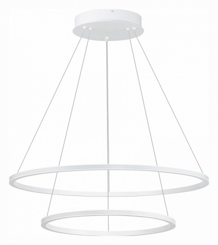 Подвесной светильник ST-Luce ST604 OUT ST604.543.56 в Нижнем Новгороде фото 3