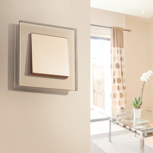 Выключатель одноклавишный без рамки Werkel шампань W111001 в Нижнем Новгороде фото 3