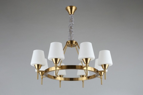 Подвесная люстра Aployt Lyus APL.840.03.08 в Нижнем Новгороде фото 8