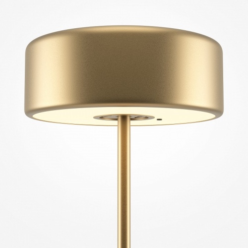 Настольная лампа декоративная Maytoni AI Collaboration MOD229TL-L3G3K2 в Нижнем Новгороде фото 4