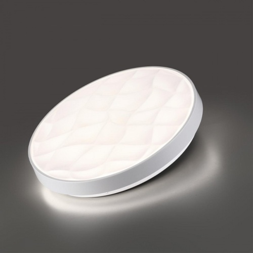 Накладной светильник Sonex PALE 7672/ELN в Нижнем Новгороде фото 4