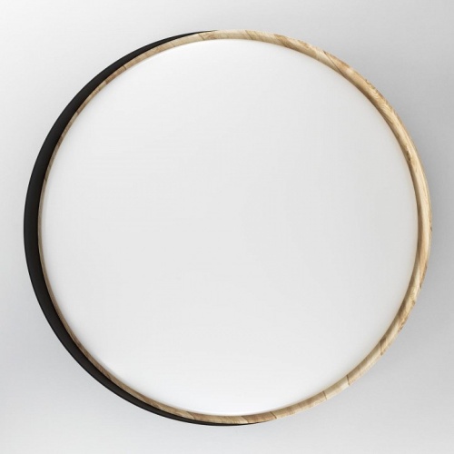 Накладной светильник Citilux BONNY CL754451G в Нижнем Новгороде фото 13