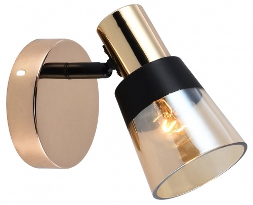 Спот Escada Brandy 684/1A в Нижнем Новгороде фото 3