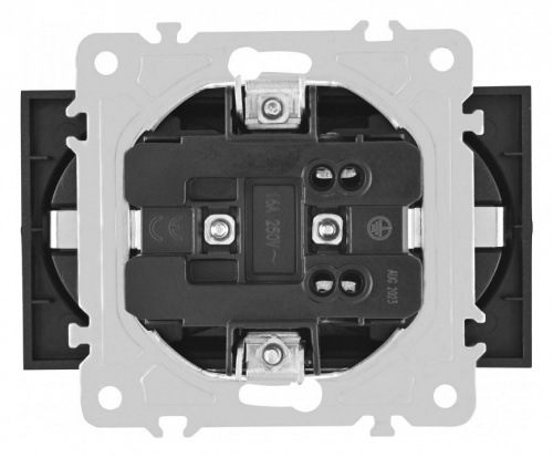 Розетка двойная с заземлением, без рамки Arte Milano am-203 203.40-2.shampan в Нижнем Новгороде фото 4