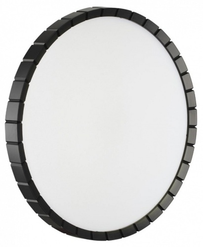 Накладной светильник Sonex ATABI BLACK 7649/DLN в Нижнем Новгороде