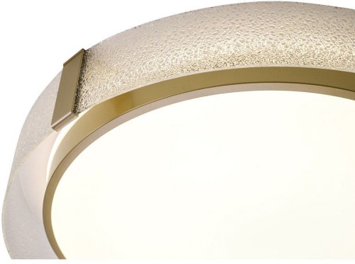 Накладной светильник Zortes Gerda ZRS.1097.60 в Нижнем Новгороде фото 9