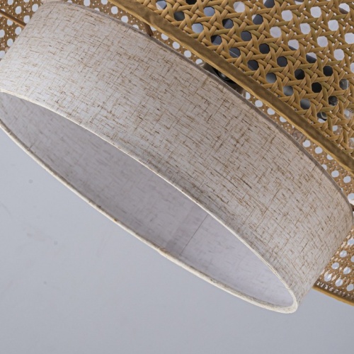 Подвесная люстра Favourite Organicum 4768-3P в Нижнем Новгороде фото 3