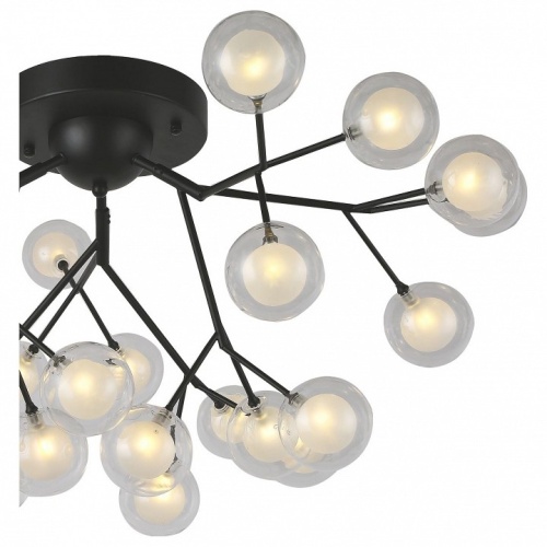 Потолочная люстра F-promo Ligamentum 2481-9U в Нижнем Новгороде фото 2