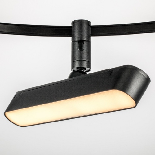 Светильник на штанге Lightstar DUE 267337 в Нижнем Новгороде фото 6