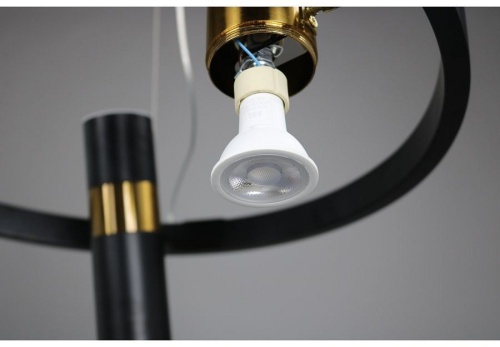 Подвесная люстра Zortes Tweeny ZRS.1828.50 в Нижнем Новгороде фото 8