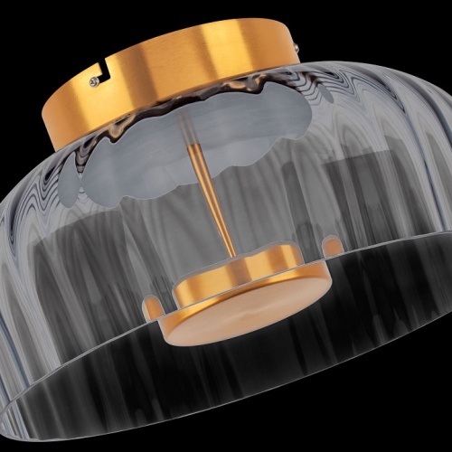 Накладной светильник Lightstar Celesta 809061 в Нижнем Новгороде фото 10