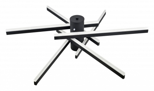 Потолочная люстра Rivoli Violet Б0068479 в Нижнем Новгороде