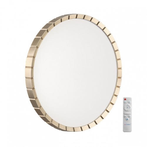 Накладной светильник Sonex Atabi Gold 7648/EL в Нижнем Новгороде фото 3