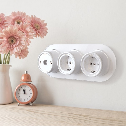 Розетка с заземлением, без рамки Werkel Ретро (белый) W5671001 в Нижнем Новгороде фото 3