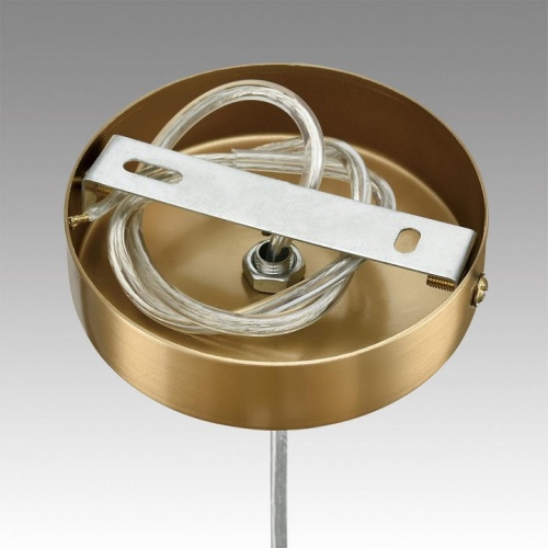 Подвесной светильник Lumion Jane 6593/1 в Нижнем Новгороде фото 6