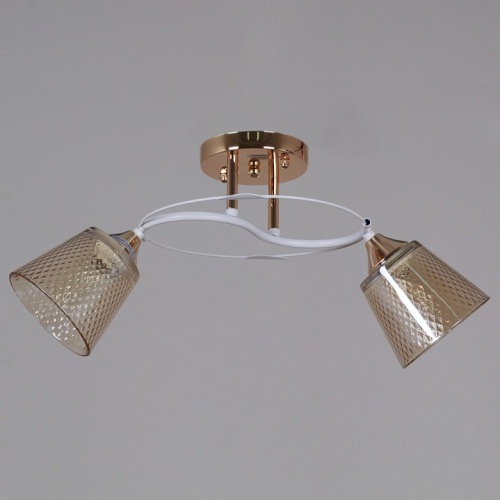 Светильник на штанге 06003-0.3-02 FG+WT в Нижнем Новгороде