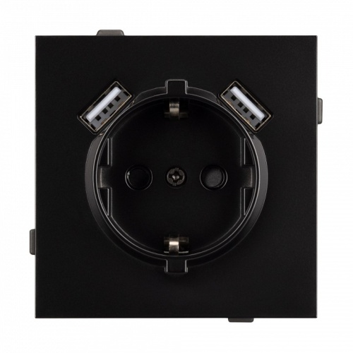 Розетка с заземлением и 2хUSB type A, без рамки Arlight SCT-TENDO 054083 в Нижнем Новгороде фото 2
