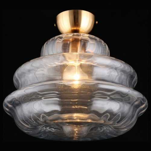 Накладной светильник Aployt Liana APL.303.07.01 в Нижнем Новгороде фото 5