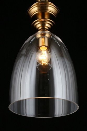 Подвесной светильник Aployt Rena APL.602.16.01 в Заречном фото 12